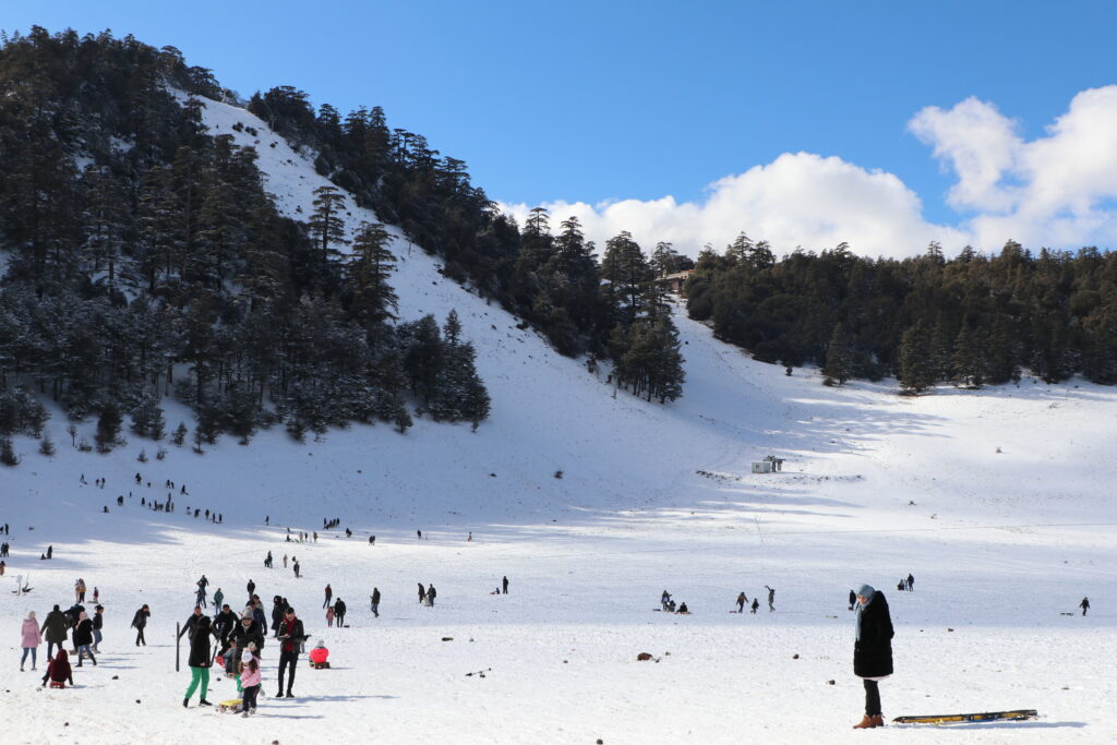 ميشليفن الثلوج