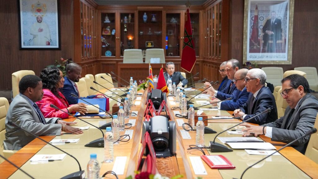 رئيس مجلس النواب يجري مباحثات مع رئيسة مجلس الشيوخ بمملكة إسواتيني