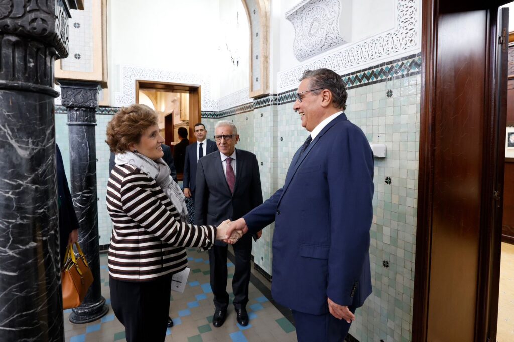 أخنوش يستقبل المديرة العامة لهيئة تحدي الألفية