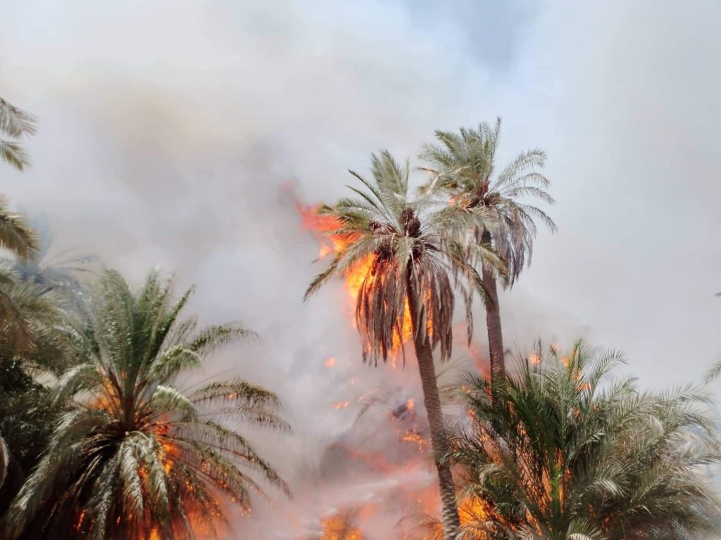 النيران تحاصر إحدى أكبر واحات النخيل باشتوكة ايت باها