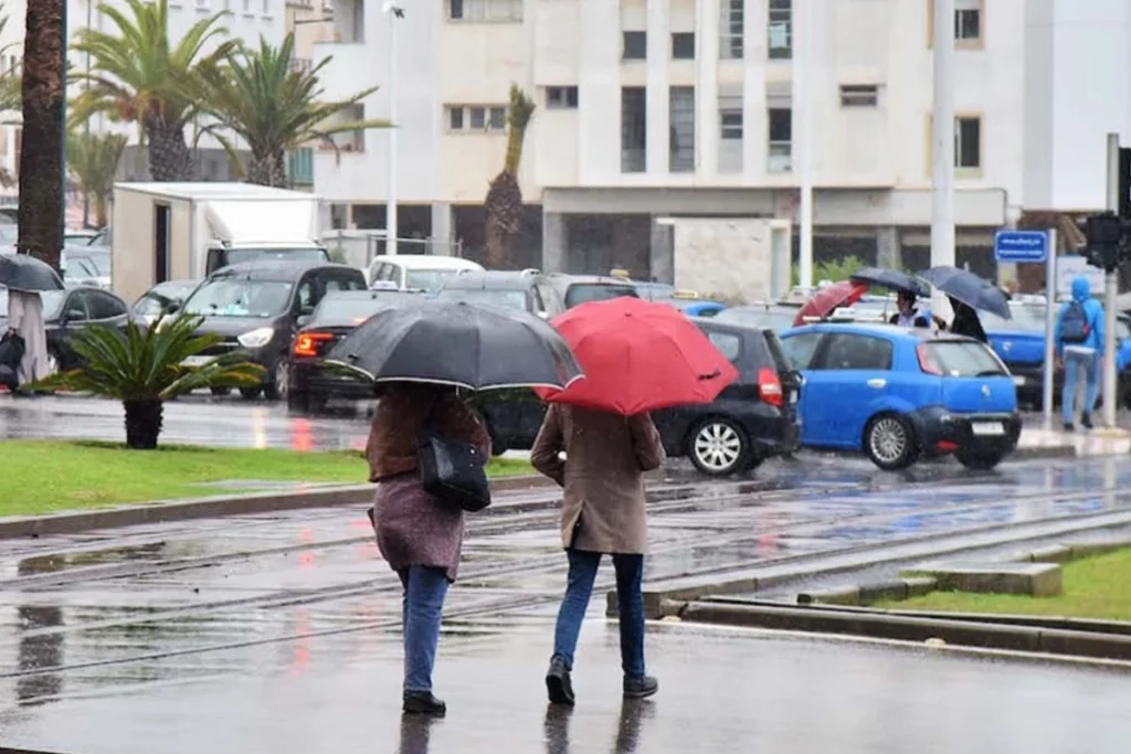 عـــــاجل : زخات رعدية في عدد من مناطق المملكة