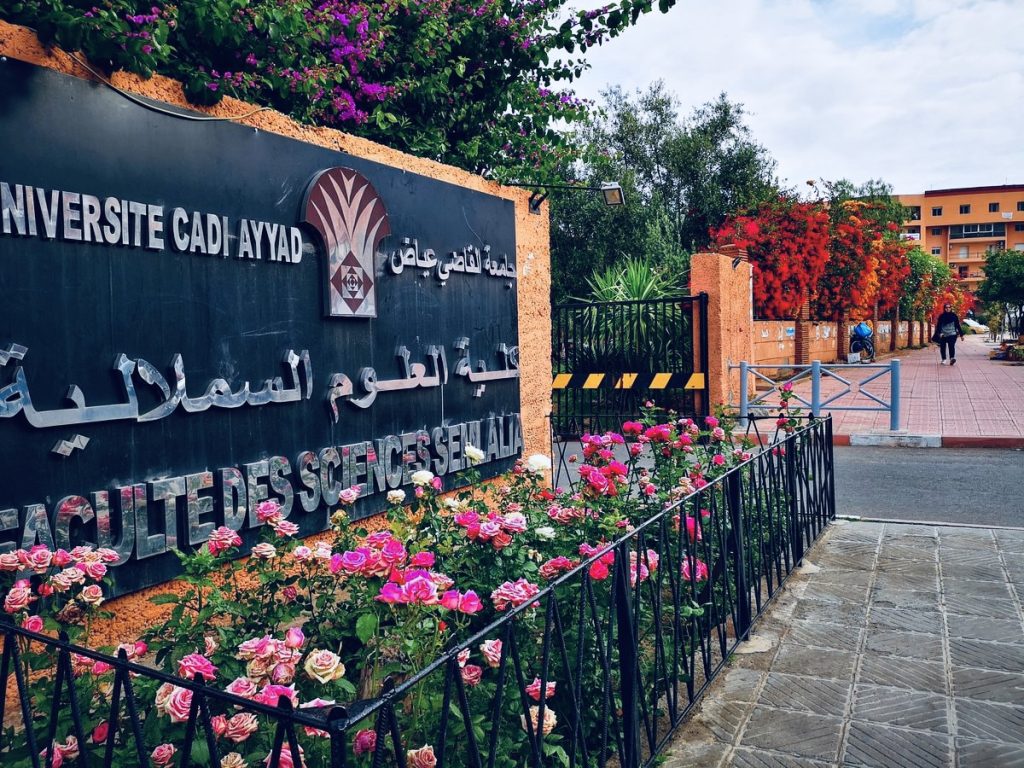 كلية العلوم السملالية بمراكش تطلق مسلكين جديدين للتميز