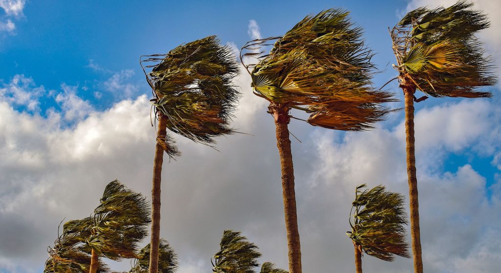 نشرة إنذارية .. رياح قوية مع تطاير الغبار بعدد من أقاليم المملكة