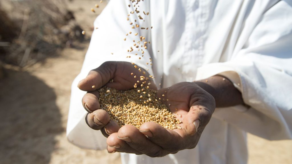 المجلس العلمي الأعلى يحدد قيمة الزكاة لعام 1445هـ/2024م