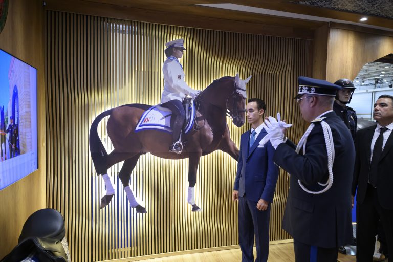 ولي العهد الأمير مولاي الحسن يترأس افتتاح الدورة الـ 16 لمعرض الفرس للجديدة