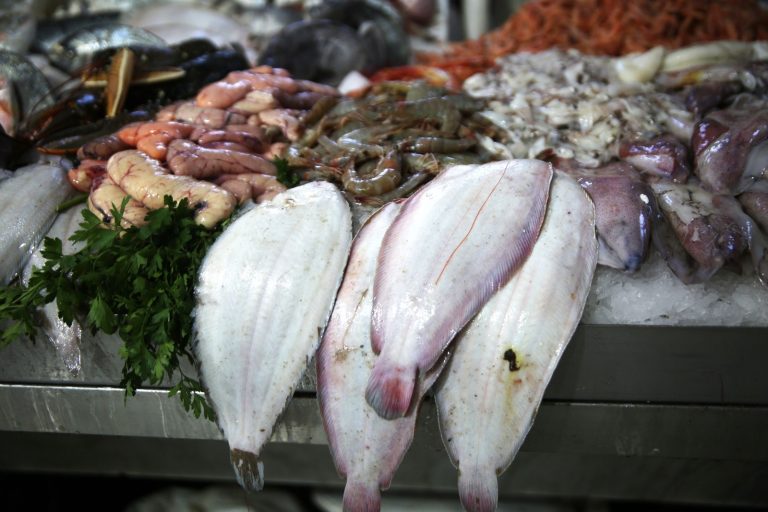 إجراءات حكومية لموازنة سوق الأسماك وتشجيع الاستهلاك المحلي