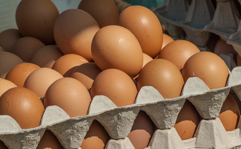 أسعار البيض ترتفع مجددا وسط مطالب بالتدخل للحد من الغلاء