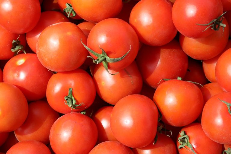 ارتفاع جديد في أسعار الطماطم يثقل كاهل المستهلكين