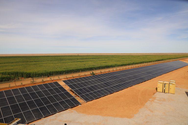 بوجدور .. مشاريع هيدرو-فلاحية كبرى من أجل فلاحة مستدامة في قلب الصحراء