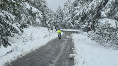 نشرة إنذارية .. تساقطات ثلجية وطقس بارد وأمطار قوية بعدد من مناطق المملكة
