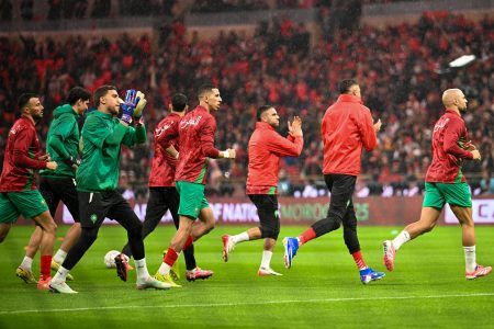 النصب الإلكتروني يهدد جماهير الأسود في رحلة البحث عن تذاكر النهائي (صور)