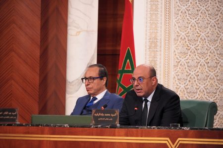 ولد الرشيد : المغرب يتوفر على خارطة طريق واضحة لتعزيز العدالة الاجتماعية والمجالية