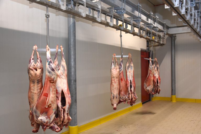 ارتفاع أسعار اللحوم يسائل حكومة أخنوش حول جدوى الإعفاءات الضريبية